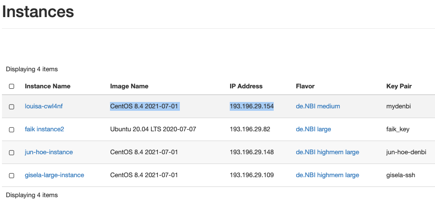 ../../_images/instance_IP_username.png